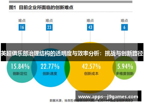 英超俱乐部治理结构的透明度与效率分析：挑战与创新路径
